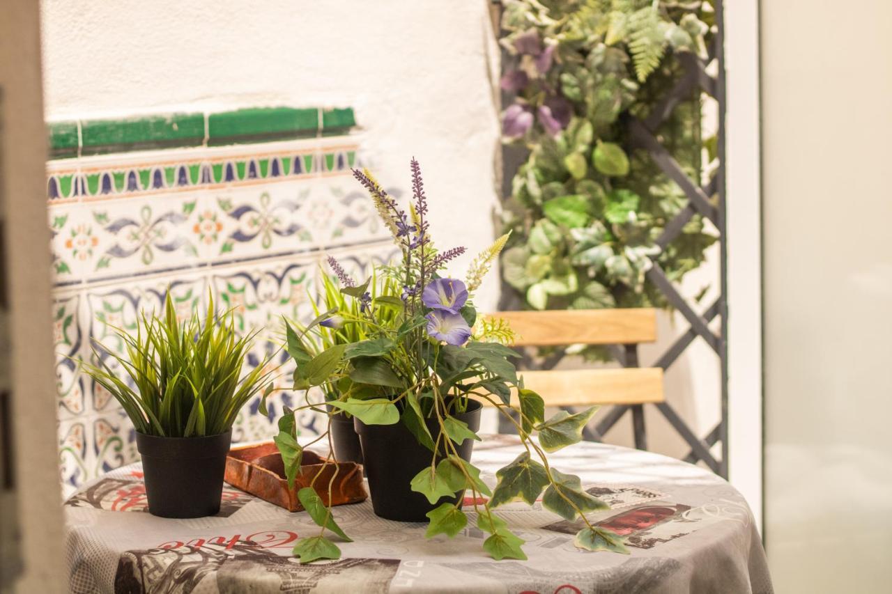 Malagueña Salerosa Apartamento - casa mata de 1 a 4 dormitorios con terraza o patio propio Málaga Exterior foto